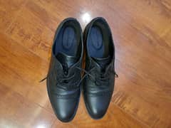 Hush Puppies Alden Franco Available