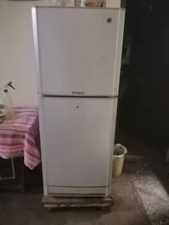 PEL