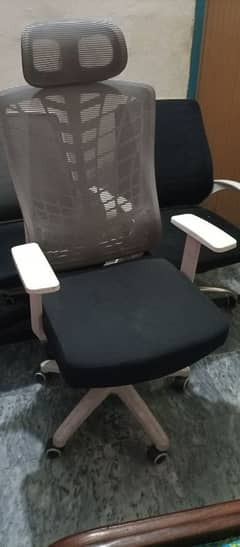 used office chairs in mint condition