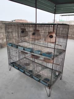 Birds Cages. cell O3433443243