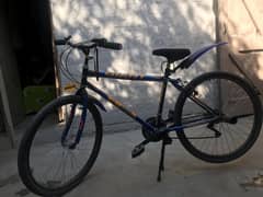 Gaint new cycle