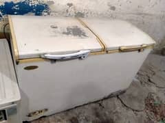 D freezer double door