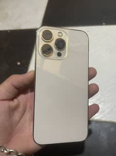 13 pro