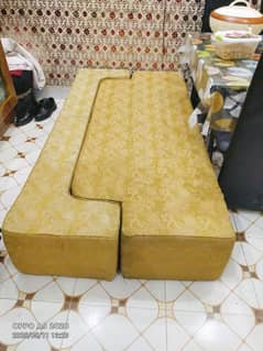 molty foam 03134887286