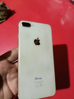 Apple 8+ PTA approved