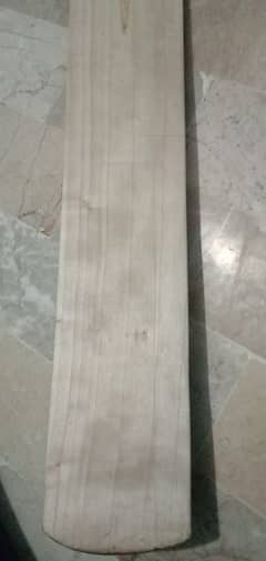 A1 grade kashmir willow bat with 7 grains