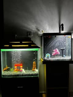 aquarium for sell
