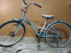 imported bicycle
