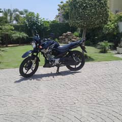 Yamaha YBR 125G 2019
