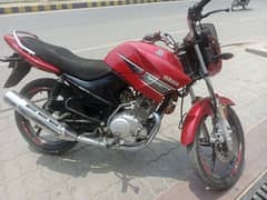 YAMAHA YBR 125 2017 japani  (0322-3276769)