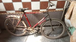 Phoenix cycles