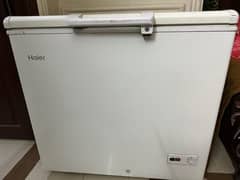 Haier Deep Freezer Single Door