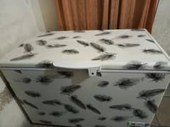 Haier D freezr