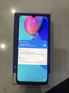 Vivo