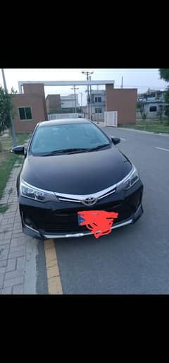 2014 x l i   03203716294