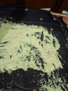 hand mate savia