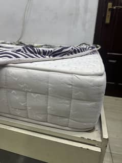 Diamond foam Supreme Spine Supporter plus 8 inch