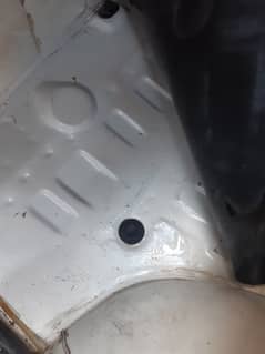 19 model