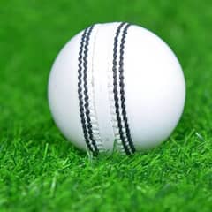 Cricket hard ball bowls