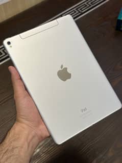 iPad Pro 9.7 Lush Condition
