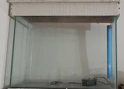 Fish Aquarium