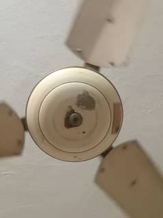 Ceiling Fan for sale