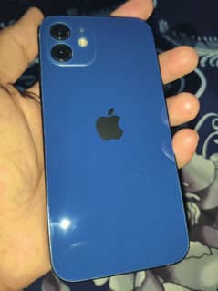 iPhone12