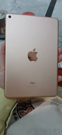 ipad mini 5