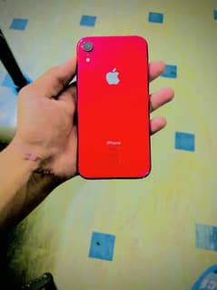 xr