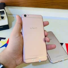 VIVO