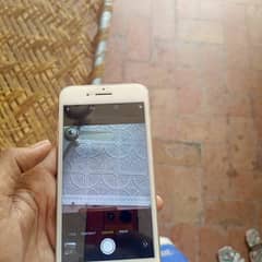 iphone 7 plus pta proved