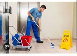 Cleaner