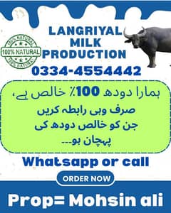 Milk Production