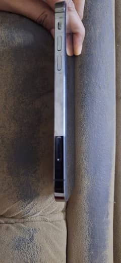 iPhone 12 pro PTA Approved