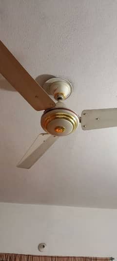 2 fans