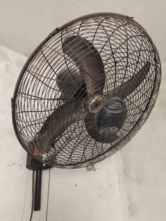 Royal Bracket Fan 24"