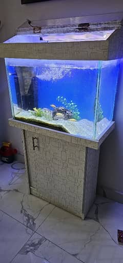 one year used aquarium for sale