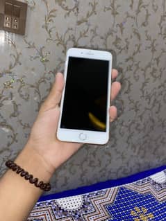 8plus