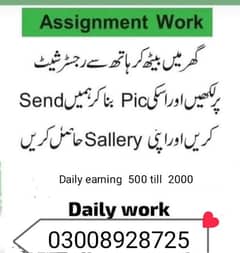 online assignment work