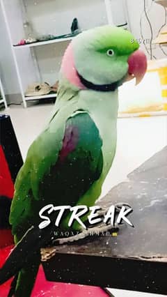 Raw