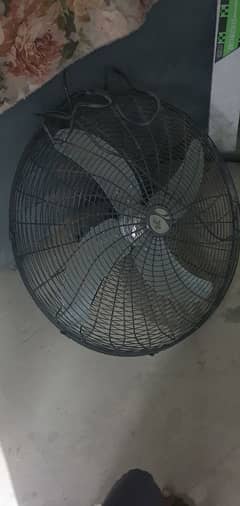 bracket fan for sale