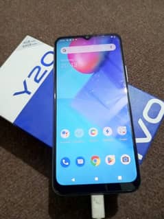 vivo