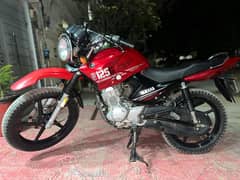 yamaha