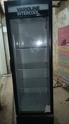 Freezer or chiller varioline