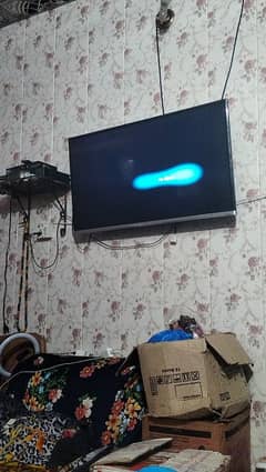 urgant