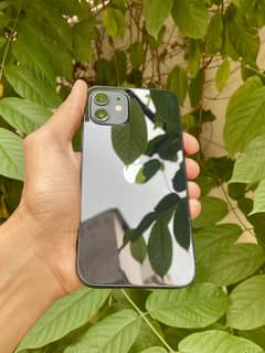 Iphone 12 Non PTA jv