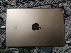 apple i pad mini 5 with box chargi 256 gb