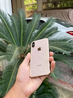 Xs iphone