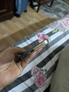 12 pro max 256 gb