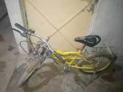 cycle